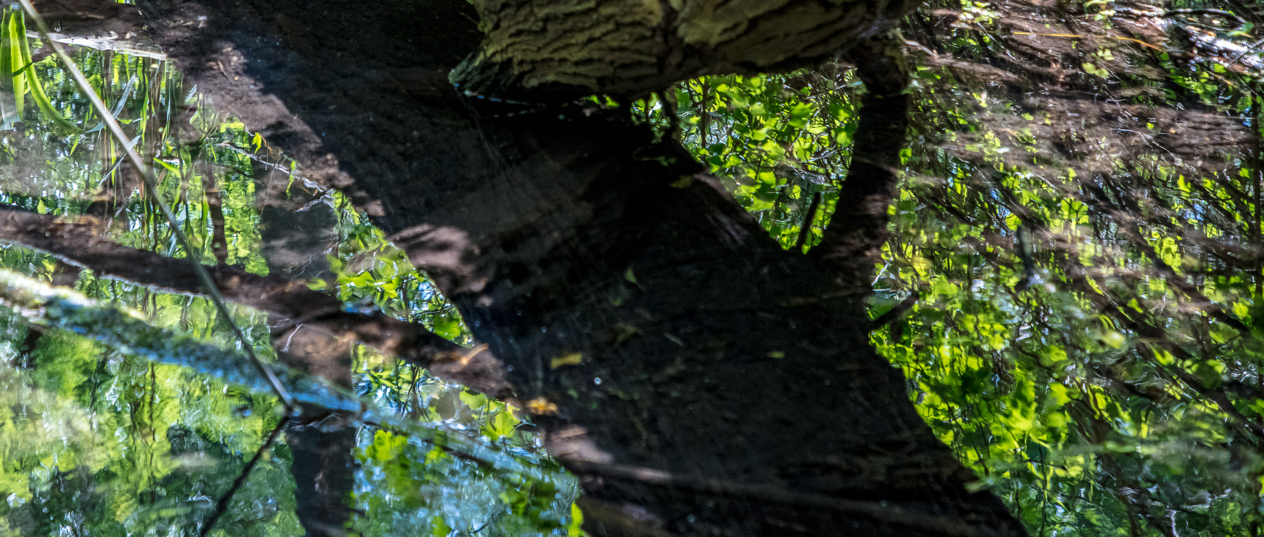 20220508124240 DP017526